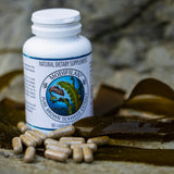 A white bottle of Modiflax natural dietary supplement with brown capsules scattered in front, styled on a sandy surface with brown seaweed against a blurred rocky background.