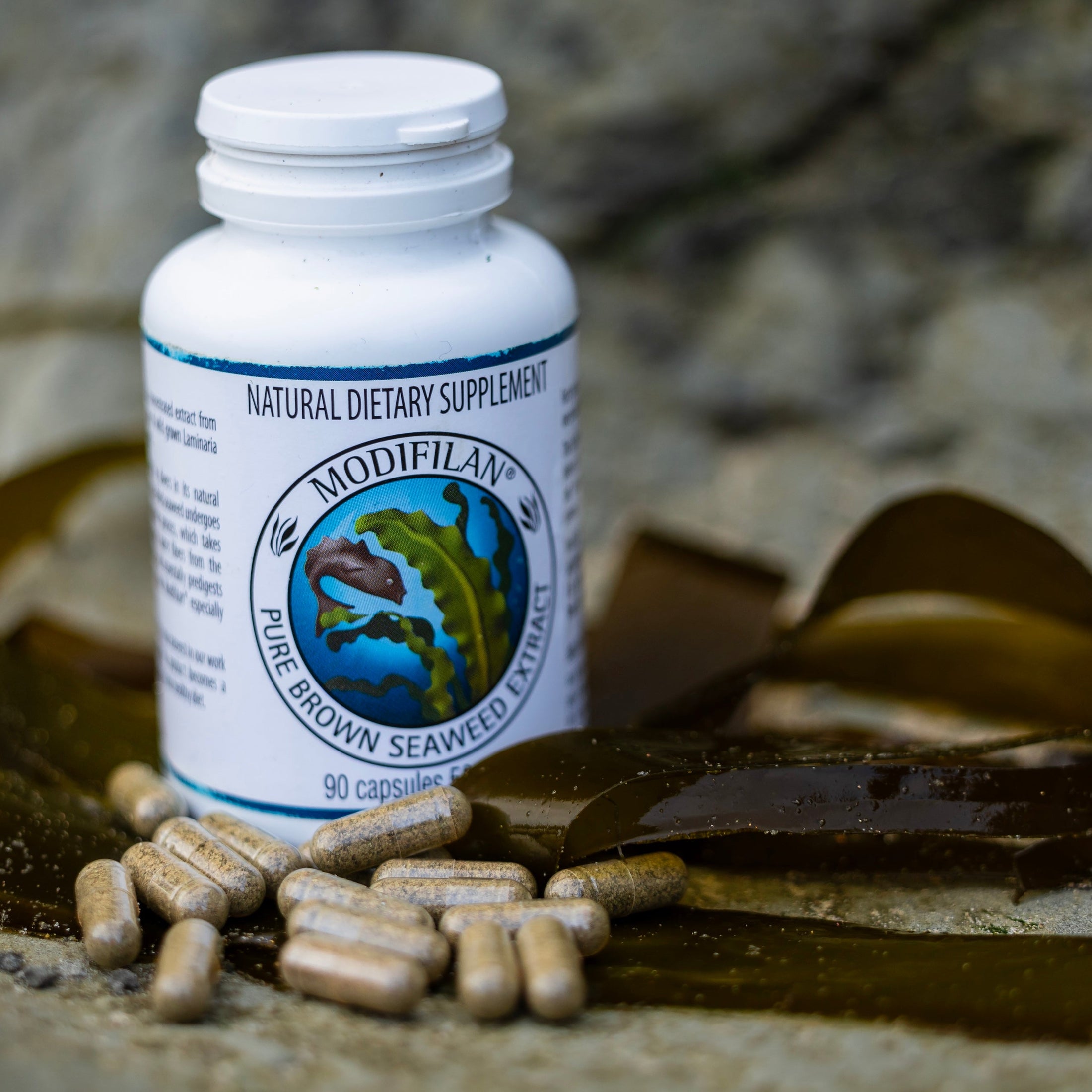 A white bottle of Modiflax natural dietary supplement with brown capsules scattered in front, styled on a sandy surface with brown seaweed against a blurred rocky background.