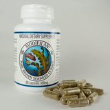 Modifilan® Pure Brown Seaweed Extract
